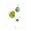 Art mural sur toile «ologia bologette »-101099307