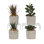 Faux Plant in Cement Pot