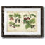 Cuisine fruits III-285017815-285017811