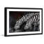 Bergerac - Single Picture Frame Painting-19914589