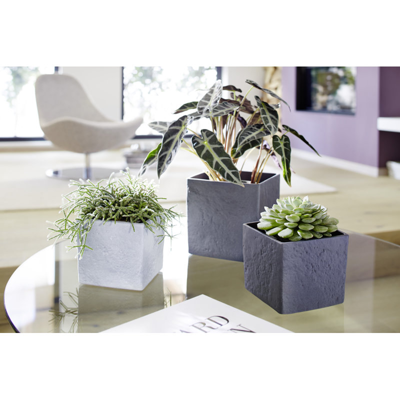 Übertopf Stone aus Keramik, Taupe, 12.7cm H x 14cm W x 14cm D