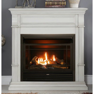 Zellmer 44'' W Ventless Fireplace