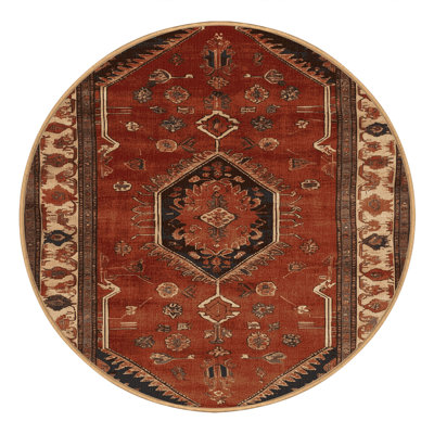 Machine Washable Turkish Brown Area Rug