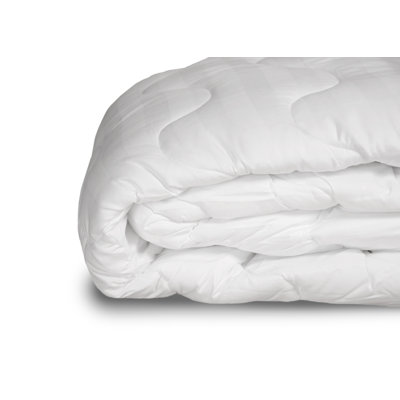 Avalos 1'' Mattress Pad