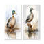 Minimaliste canard colvert à l'étang II - ensemble de 2 reproductions d'art sur toile-409440856-409440871