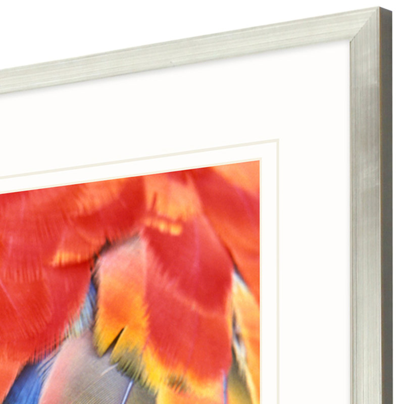 Vibrant Scarlet Macaw Feather Print with Silver Leaf Frame