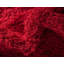 Tapis rouge sang Baynes-130905033-20250266