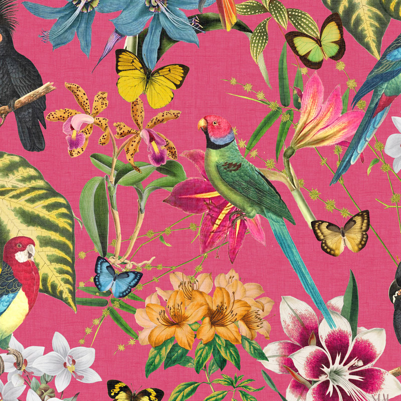 Envy Paradiso Multi Removable Wallpaper, Pink