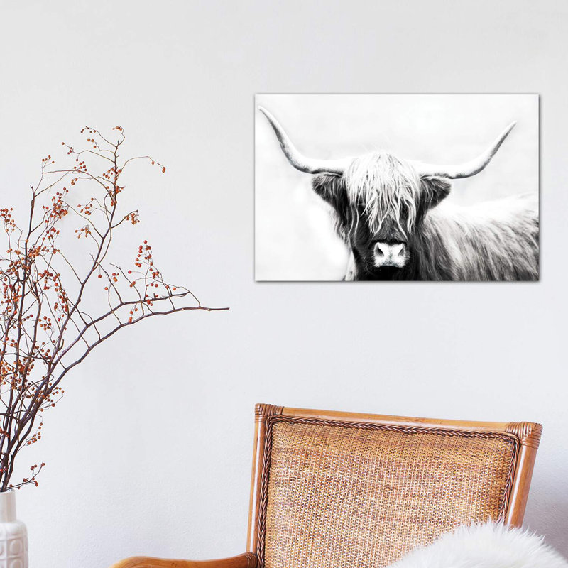 «Highland Longhorn», reproduction de photo encadrée, H 18 po x l 26 po x P 1,5 po, Toile tendue