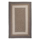 Dietz Gray Braided Indoor/Outdoor Area Rug