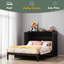 Lit escamotable double avec grands tiroirs