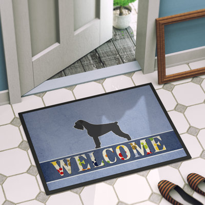 Non-Slip Outdoor Doormat