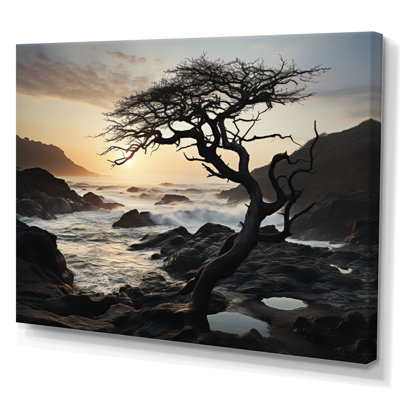 Harmonie de photos de plage