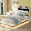 Size Upholstery Platform Bed Frame With LED Light Strips,Headboard Storage Space And Two USB Charging Deisgn,Beige