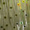 Rouleau de papier peint adhésif vert, gris anthracite, jaune et bleu L 18 pi x l 18 po