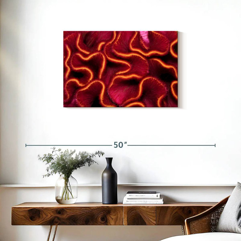 Corail rouge Brampt