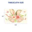 Housse de table à imprimé floral avec bordures festonnées 60 x 120 po Watercolor Bunny Ear