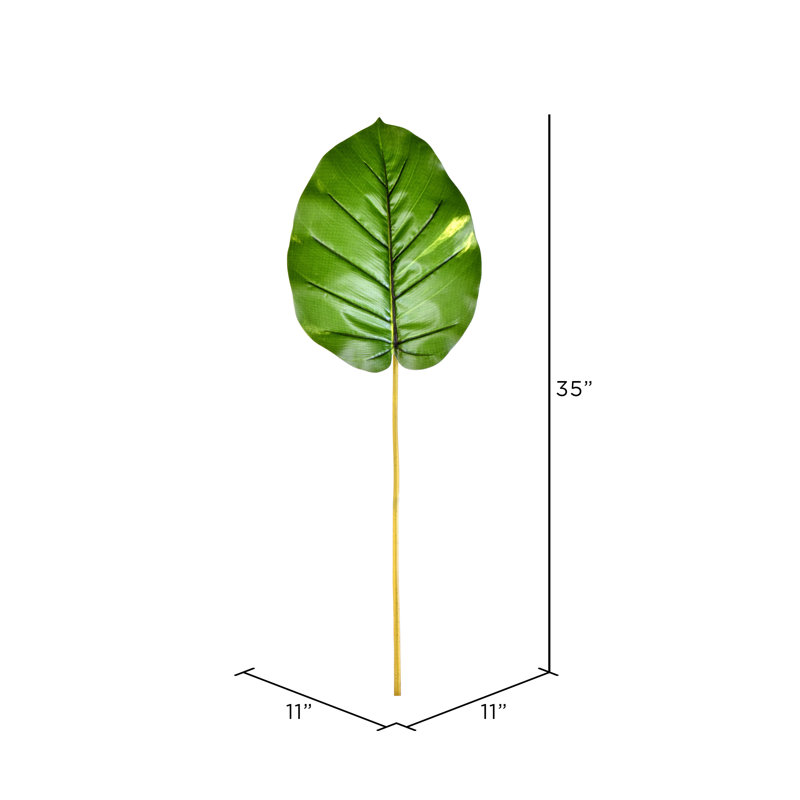 Potence artificielle Pothos