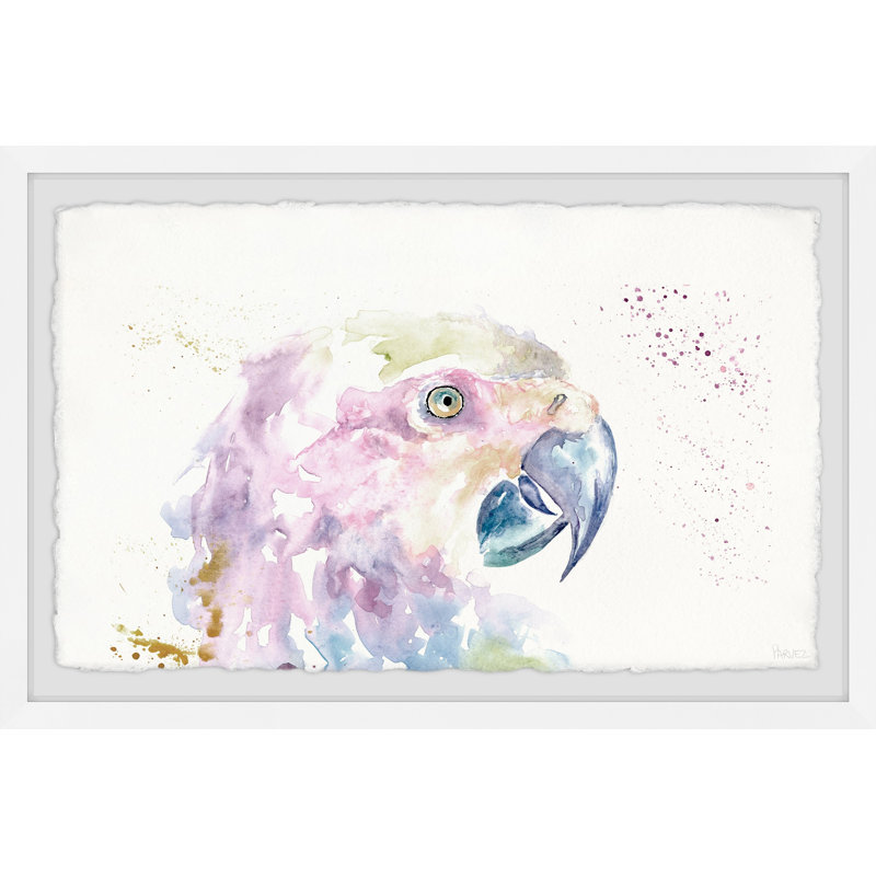Parrot Colors by Parvez Taj - Single Picture Frame Painting, 41 cm H x 61 cm W