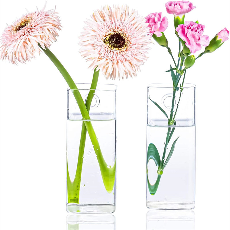 Plante Terrarium Contenant Station de Propagation Carré Tube Vase Suspendu Au Mur en Verre pot à Fleurs Plantes Hydroponiques Intérieures Bureau À Domicile Jardin Décor, Paquet de 4