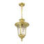 Franchino Outdoor Pendant