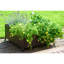 Metal Elevated Planter