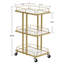 Khalis Salon Metal Multi-Purpose Utility Trolley Cart, Rolling Cart with Wheels