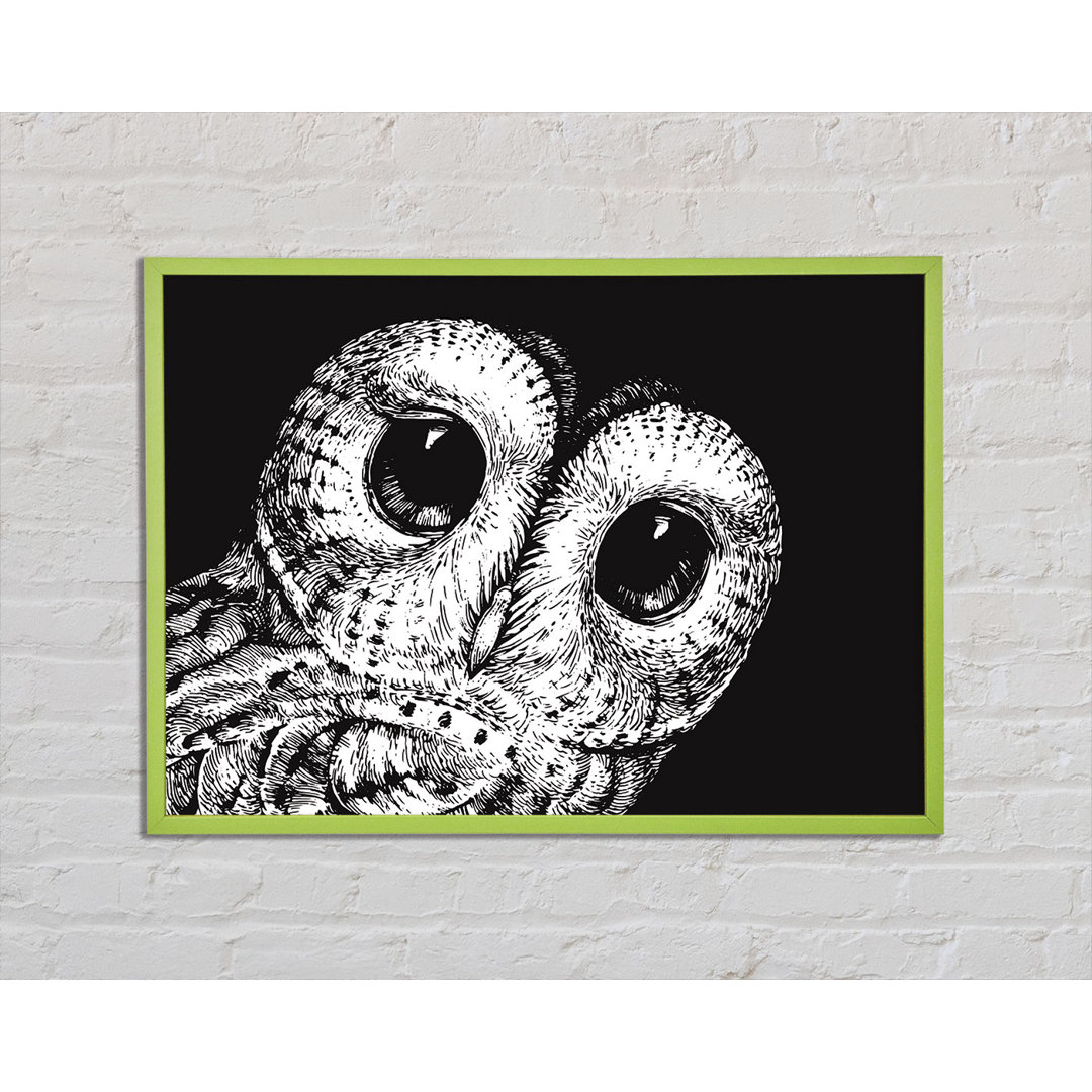 Arnae The Big Eyed Owl - Einzelner Bilderrahmen Kunstdrucke