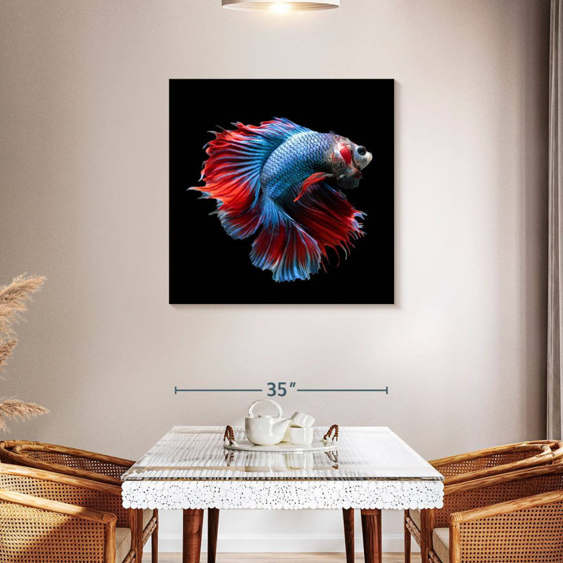 Brampt Blue And Red Betta Fish