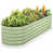Fruit Green n'est pas disponible