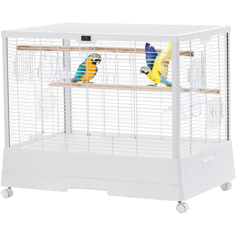Bird Cage For Small Birds