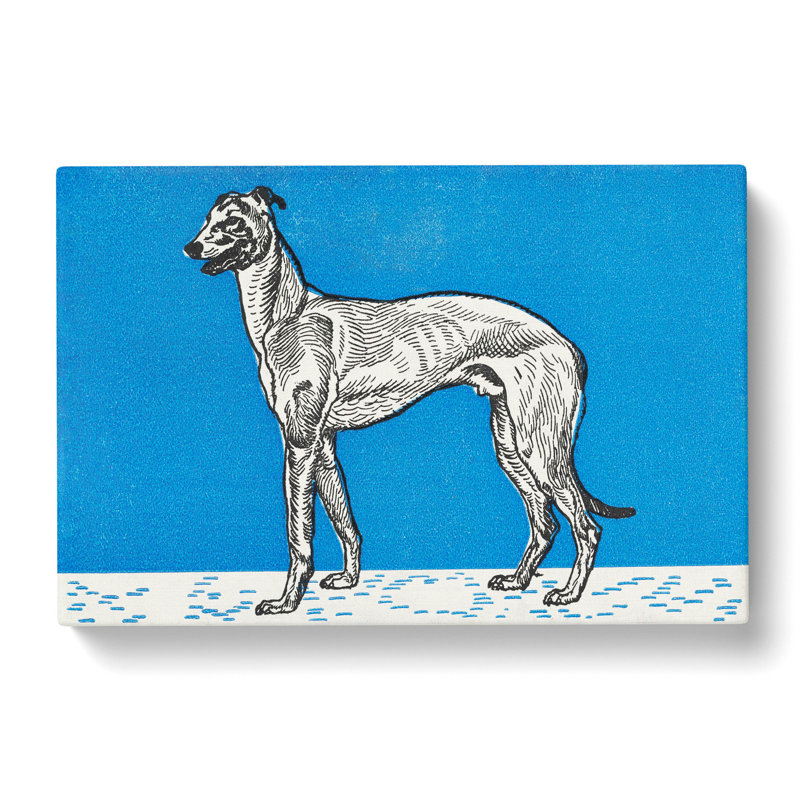 Greyhound Vol.1 by Moriz Jung - Wrapped Canvas, 40cm H x 60cm W x 3cm D
