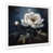Black Picture Framed
