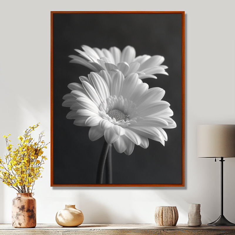 Monochromes noir et blanc «Bliss Daisy Photo I» - impression d'art mural marguerites, Cadre flottant brun, H 24 po x l 32 po