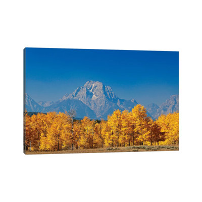 Tetons Yellow Autumn by Susan Vizvary - Wrapped Canvas Print