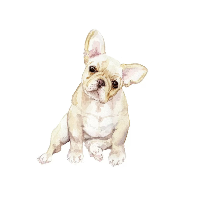 Blonde French Bulldog by Wandering Laur - Wrapped Canvas Painting, 30.48 cm H x 30.48 cm W