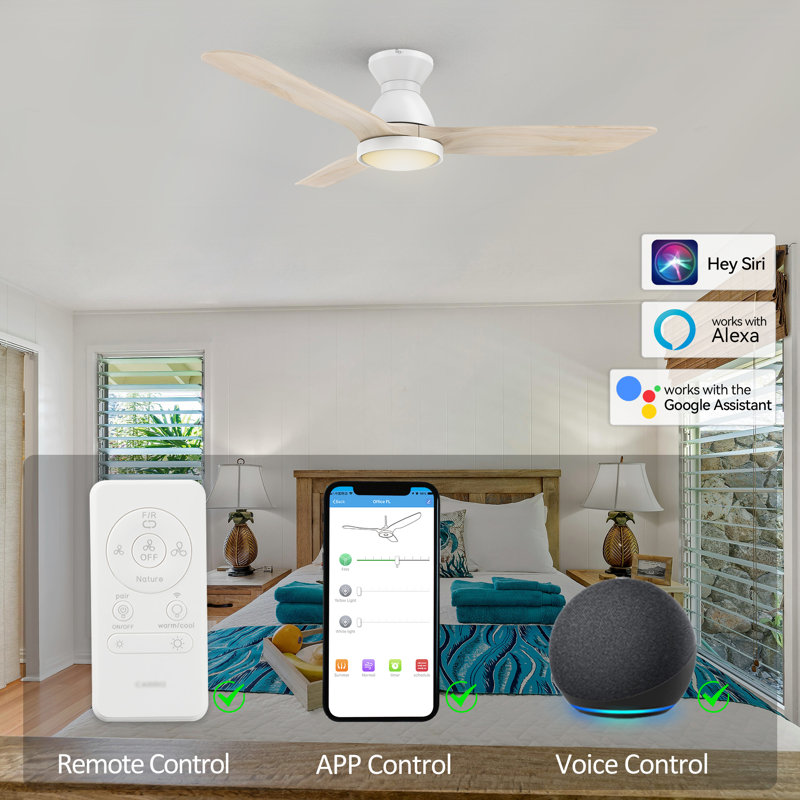 52" 3 - Blade Smart  Ceiling Fan with Light, White, White