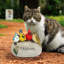 Statue de jardin Birdy-436881536
