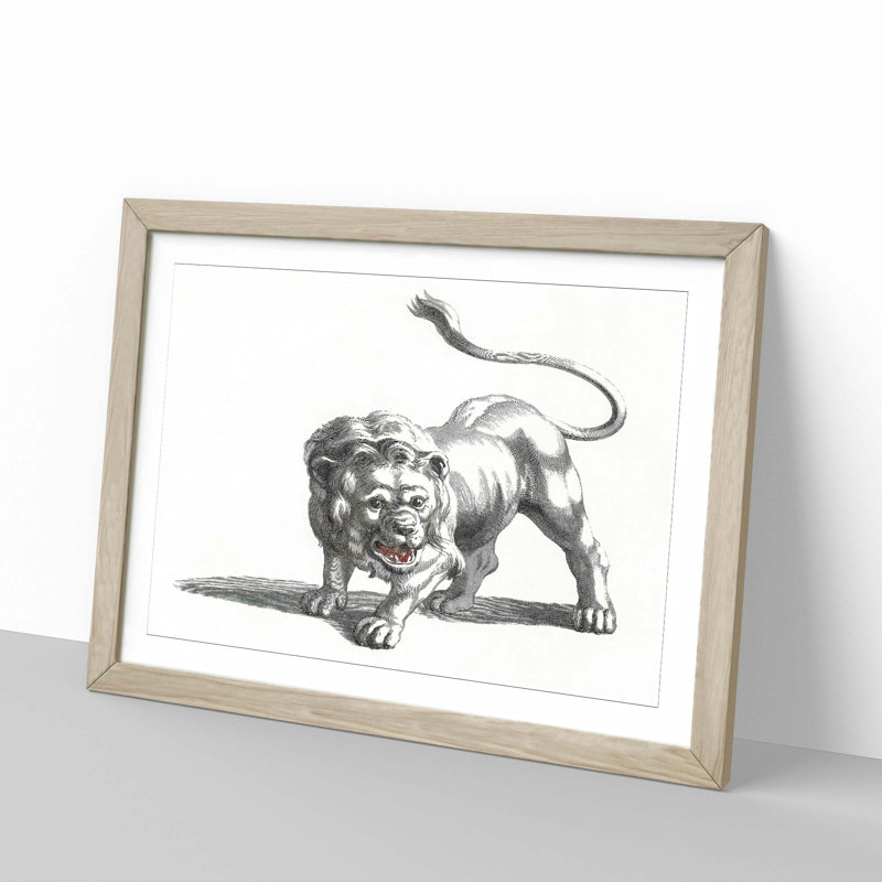 Lion by Johan Teyler - Picture Frame Drawing Print, 27cm H x 36cm W x 2cm D, Oak Framed