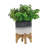 Includes plant rack flower pots