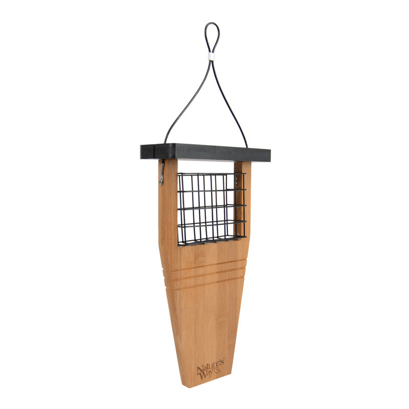 Mangeoire d’oiseaux suif queue prop