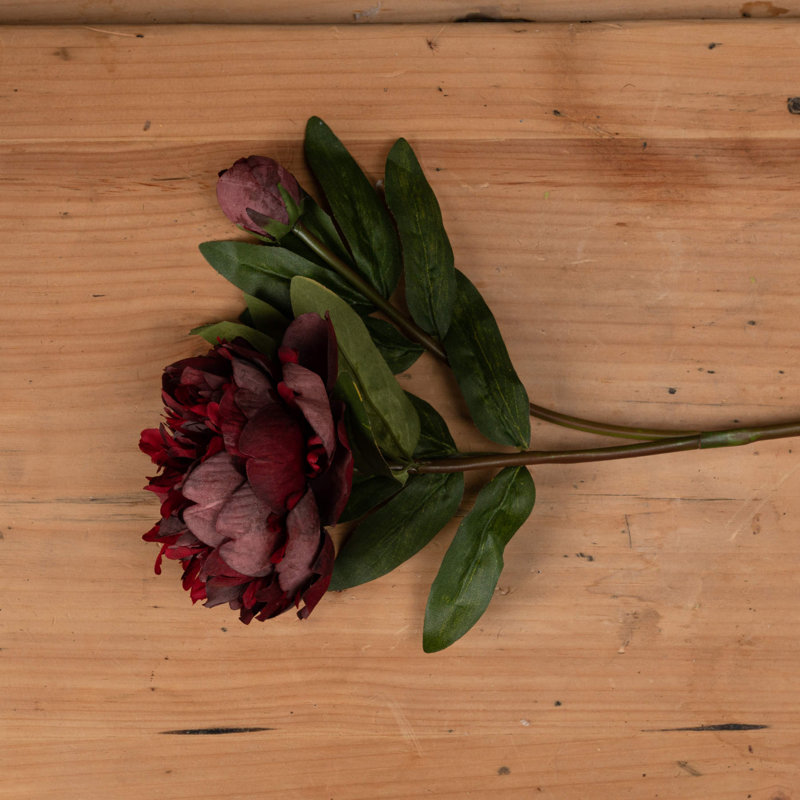 Anastasija Arrangement, Red, Green