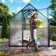 6' W x 12' D Greenhouse