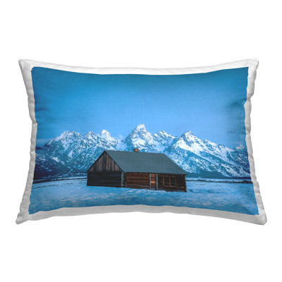 Polyester Lumbar Rectangular Pillow Cover & Insert