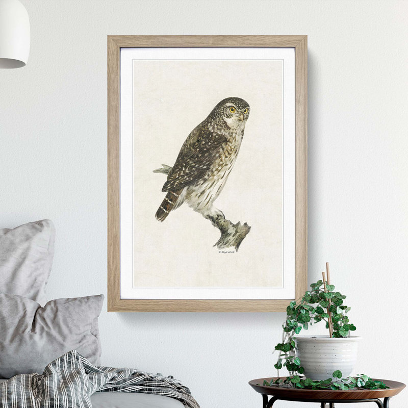 Eurasian Pygmy Owl by Von Wright - Picture Frame Graphic Art Print, Oak Framed, 87cm H x 62cm W x 2cm D
