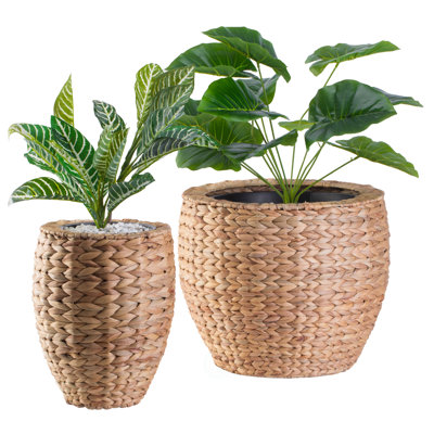 Carmelita Pot Planter