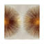 Sunburst II by Abby Young - Wrapped Canvas Print-1077631692