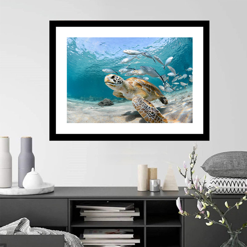 Turtle Beauty - photographie avec cadre