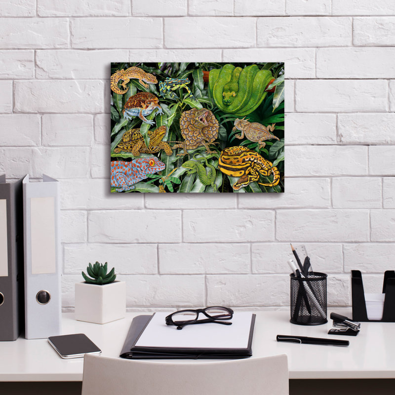  «Reptile & Amphibians» par Tim Jeffs, art mural sur toile, 16 po x 12 po, H 12 po x l 16 po