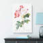Damask Roses In Pink by John Audubon - Wrapped Canvas-55342393